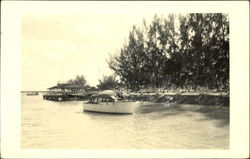 Boats on the River Landscapes Postcard Postcard