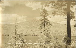 Yorks Log Village Loon Lake Rangeley, ME Postcard Postcard