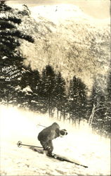 Nose Dive Trail Stowe, VT Postcard Postcard