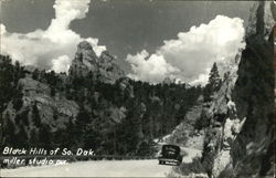 Black Hills Of So. Dak Postcard