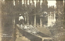 Xochimilco Postcard