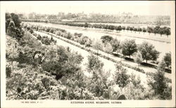 Alexandra Avenue Postcard