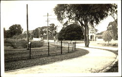 Road Scene Postcard