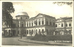 Raffles Museum Singapore Southeast Asia Postcard Postcard