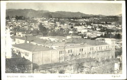 Ciudad Del Sol Quilpue, Chile Postcard Postcard