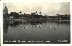 Parque Solon De Lucena Postcard