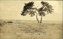 Paraje De La Costa Sur Puertorico Postcard