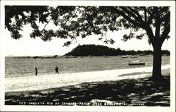 Paqueta Rio De Janeiro Praia Jose Bonifacio Postcard