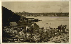 St Johns Newfoundland And Labrador Canada Postcard Postcard