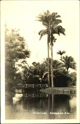 Botanical Gardens Postcard