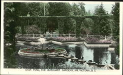 Star Pond, The Butchart Gardens Postcard