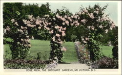 Rose Arch, The Butchart Gardens Postcard