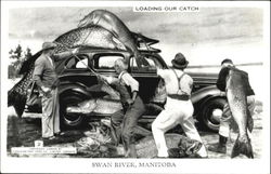 Loading Our Catch Postcard