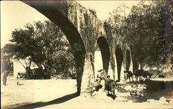 Archways Surrounded by Cattle and People Mexico Postcard Postcard