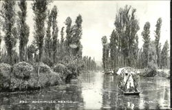 Xochimilco Mexico Postcard Postcard