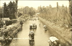 Xochimilco Postcard