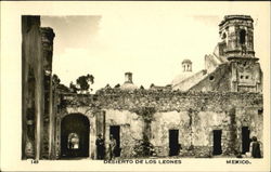 Desierto De Los Leones Postcard