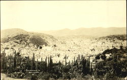 Panorama's Mexico Postcard Postcard