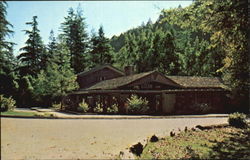 Big Sur Lodge Pfeiffer Big Sur State Park Postcard