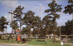 Cobb's Motel And Restaurant, U. S. 301 - North Postcard