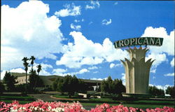 The Tropicana Hotel Las Vegas, NV Postcard Postcard