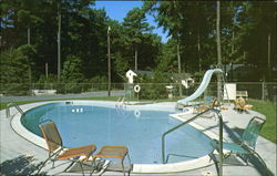 Whispering Pines Motel, U. S. 13 Postcard