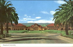 Quadrangle From Palm Grove, Stanford University Postcard