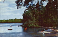 Greetings From Copake Lake Postcard