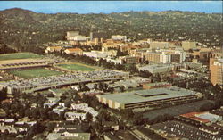 Aerial View Of U. C. L. A Postcard