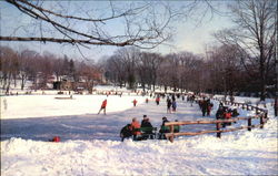 Ice Skating-Downing Park, Downing Park Newburgh, NY Postcard Postcard