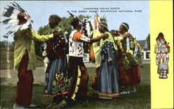 The Cherokee Indians Postcard