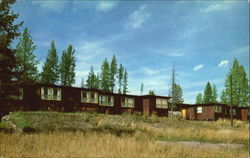 Canyon Lodge Guest Cottages Canyon Village, Yellowstone National Park Postcard Postcard