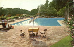 Hacienda Cocoyoc Pool Postcard