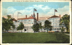 Home Of Shredded Wheat, Niagara Falls Postcard