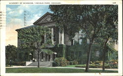 Academy Of Science, Lincoln Park Postcard