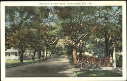 Riverside Avenue Blvd Postcard