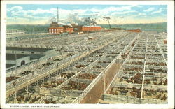 Stockyards Denver, CO Postcard Postcard