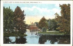 A Pretty Spot In Roger Williams Park Postcard