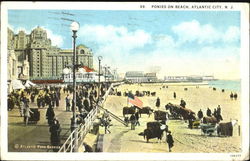 Ponies On Beach Postcard