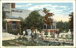 Scene In Douglas Park Postcard