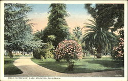 Walk In Freemont Park Postcard