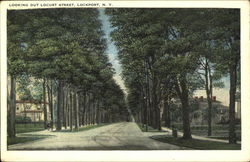 Looking Out Locust Street Postcard