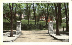 University Of Tennessee Postcard