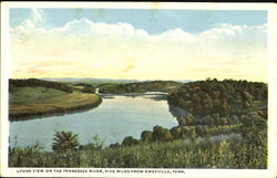 Lyons View On The Tennessee River Postcard