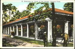 Entrance To Cave Of The Winds Postcard