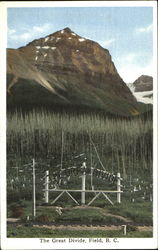 The Great Divide Field, BC Canada British Columbia Postcard Postcard