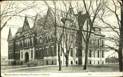 Natural History Building, University of Illinois Postcard