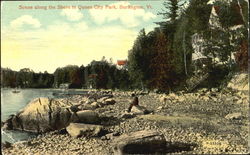 Scene Along The Shore In Queen City Park Postcard