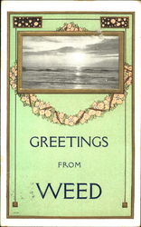 Greetings From Weed Postcard