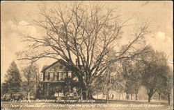 The Famous Rathbone Elm Near Marietta Ohio Postcard Postcard